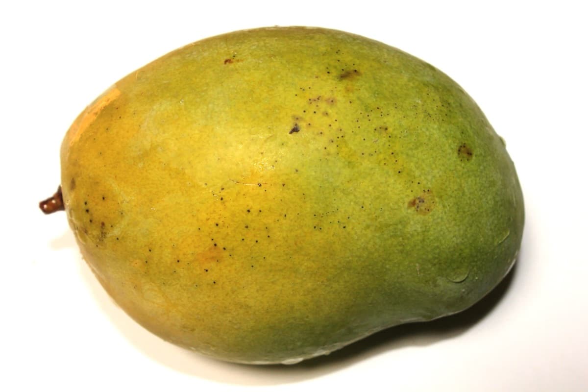 Mango, Egyptian export line