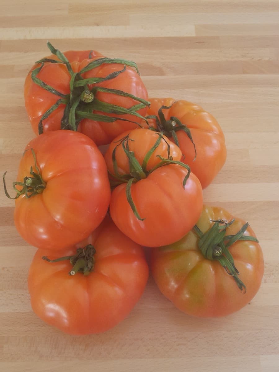 Tomatoes